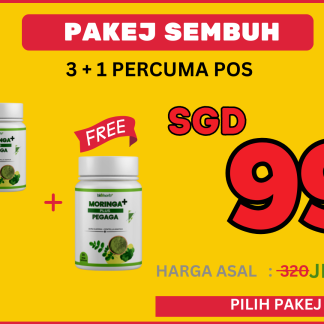 SET SEMBUH : 4 BOTOL